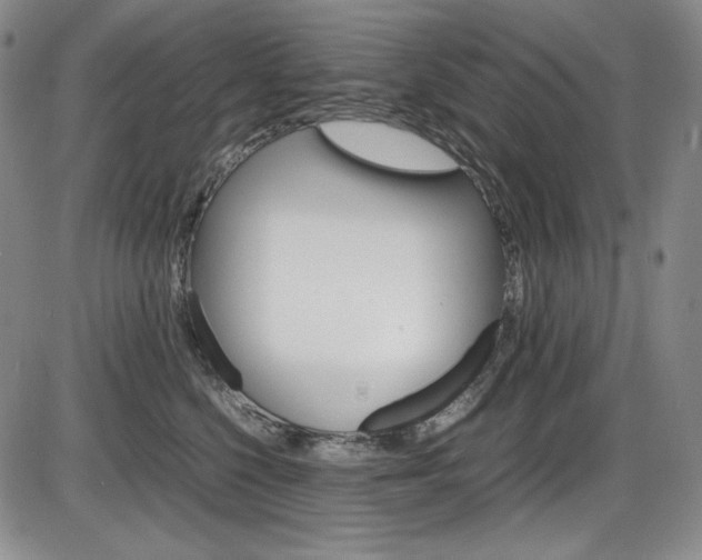 X0000086340568200703301000