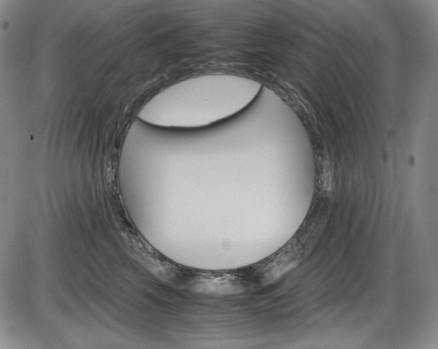 X0000086340569200703301000