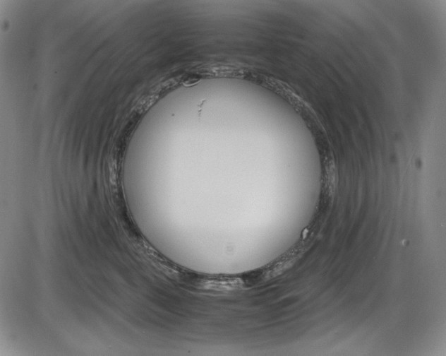 X0000086340571200703301000