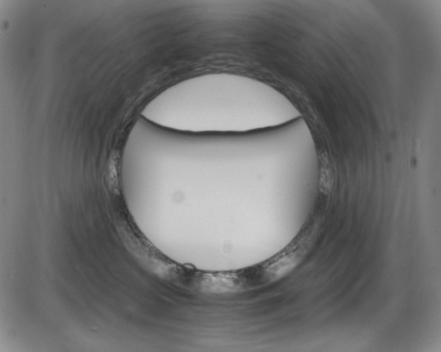 X0000086340573200703301000