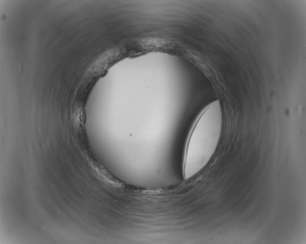 X0000086340574200703301000