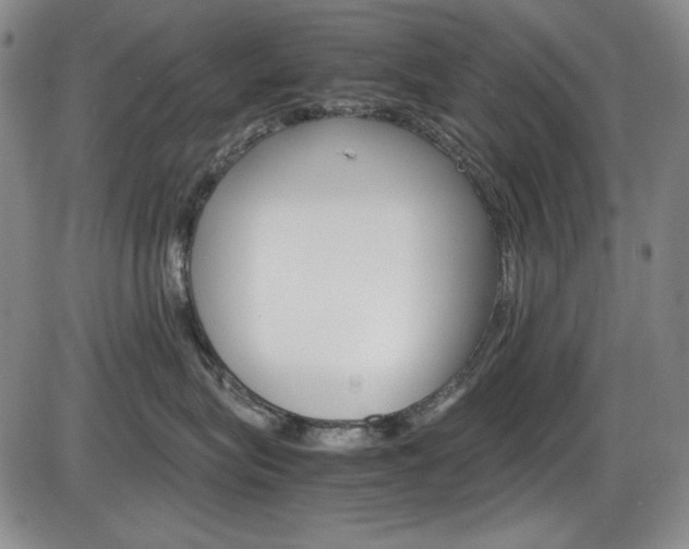 X0000086340575200703301000