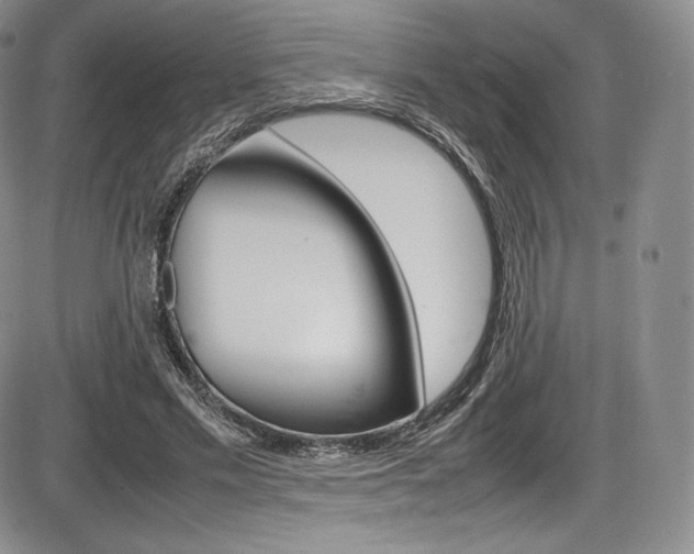 X0000086340589200703300959