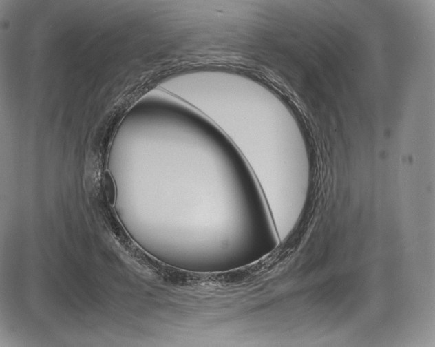 X0000086340593200703300959