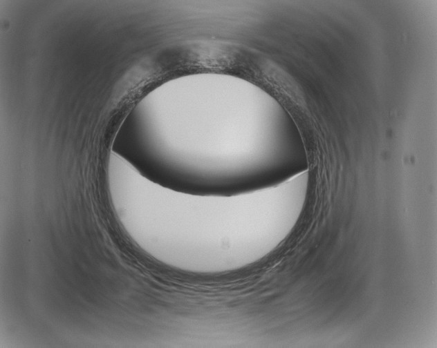 X0000086340595200703300959