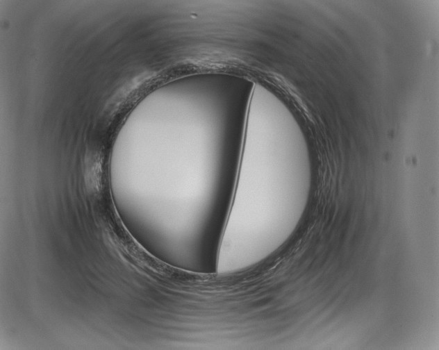 X0000086340596200703300959