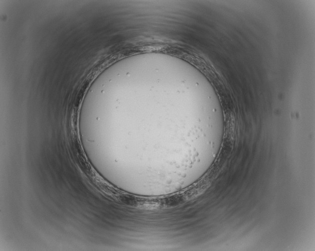 X0000086340598200703300958