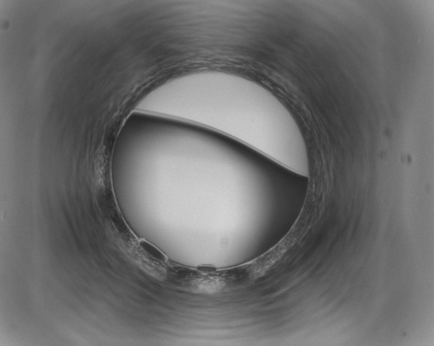 X0000086340604200703300958