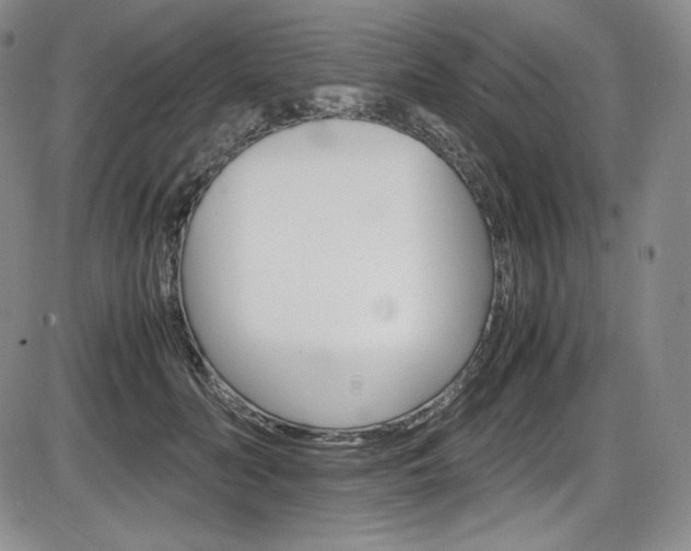 X0000086340606200703300958