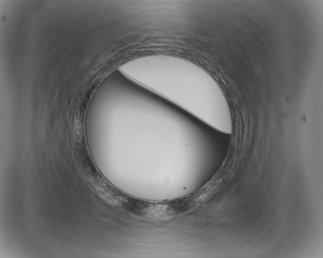 X0000086340609200703300958