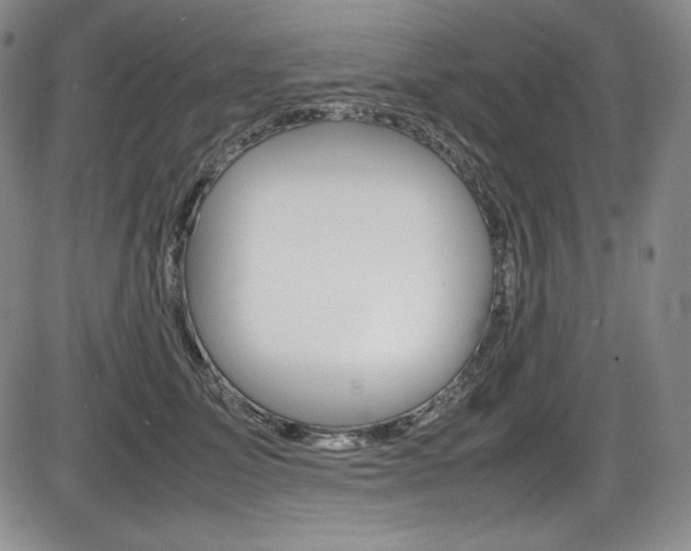 X0000086340611200703300958