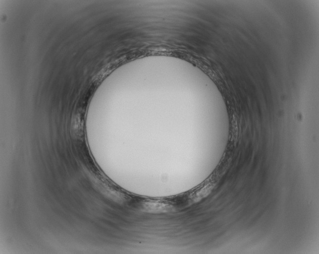 X0000086340614200703300958