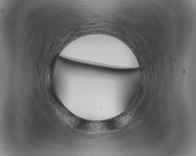 X0000086340615200703300958