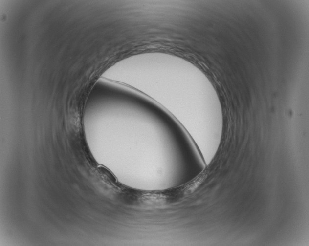 X0000086340617200703300958