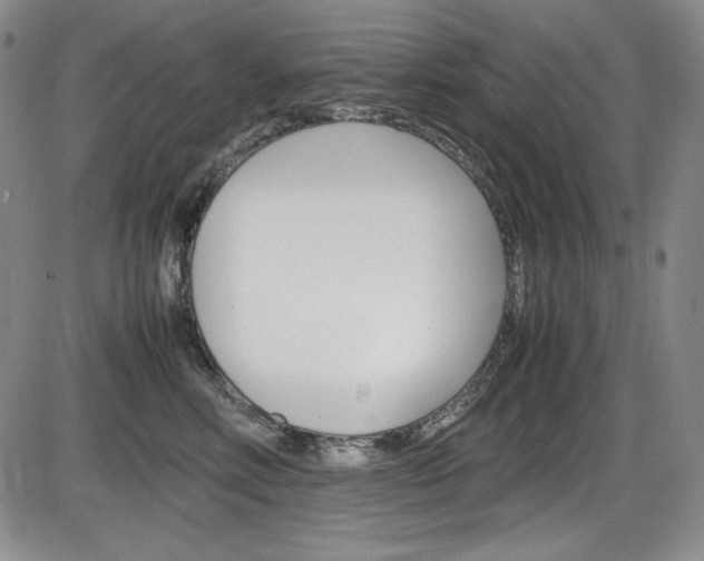 X0000086340618200703300958