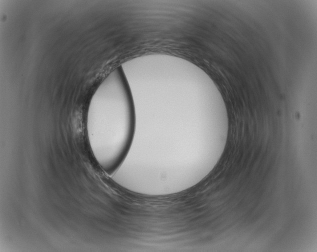 X0000086340620200703300958