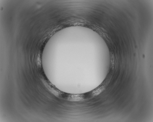 X0000086340622200703300958