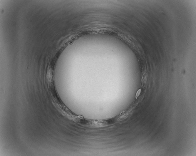 X0000086340623200703300958