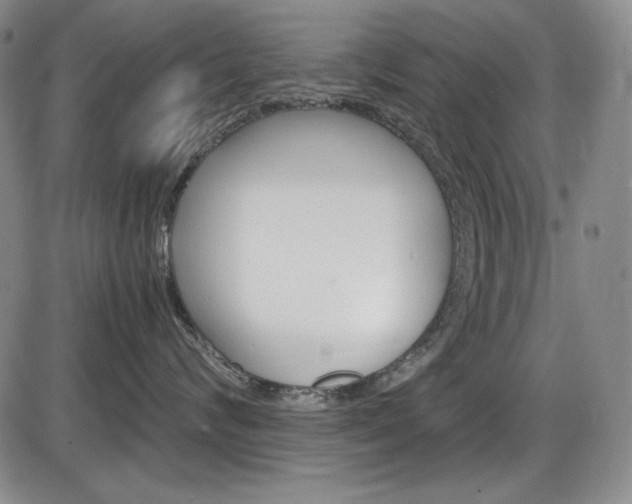 X0000086340624200703300958