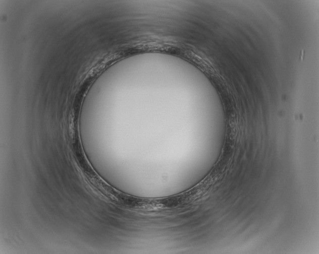 X0000086340642200703300958