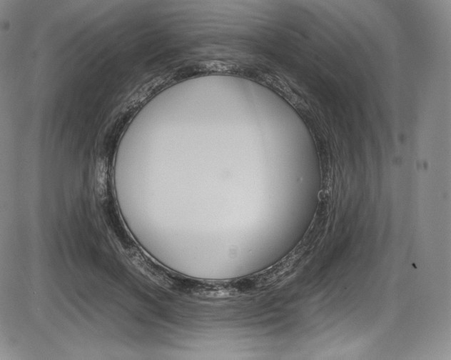 X0000086340646200703300958