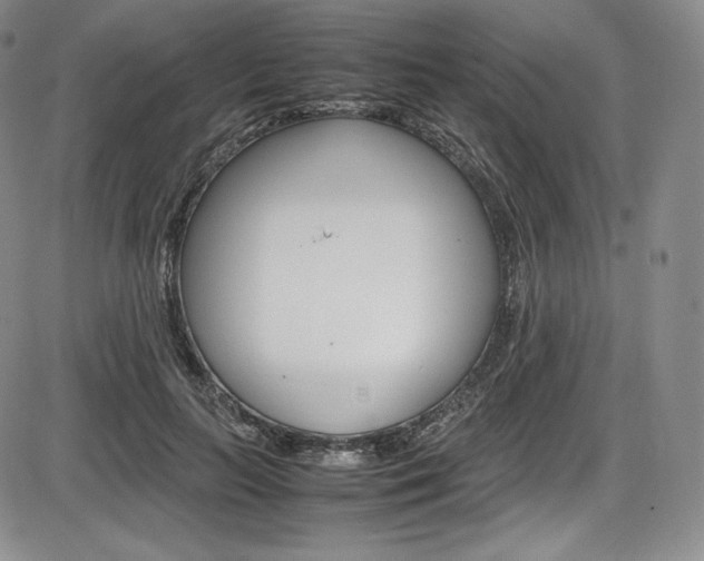 X0000086340647200703300958