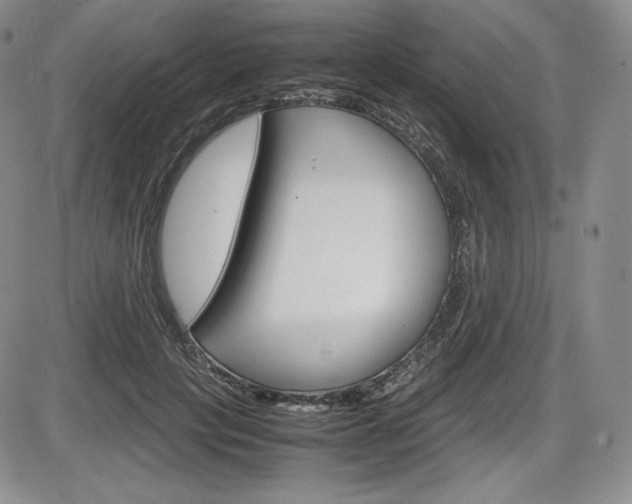 X0000086340649200703300958