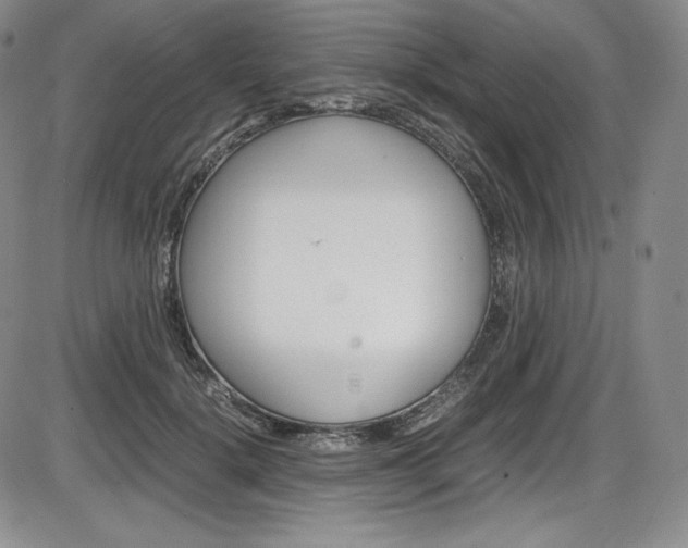 X0000086340652200703300958