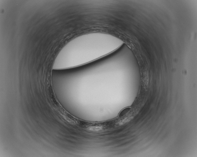 X0000086340653200703300958