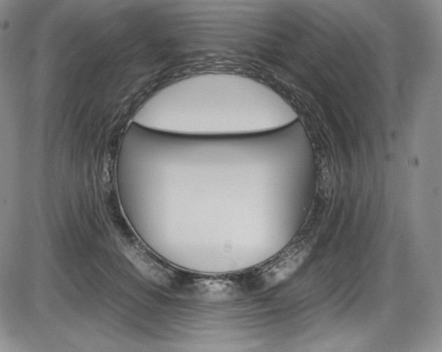 X0000086340654200703300958