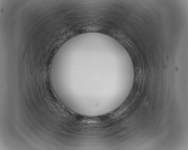 X0000086340655200703300958