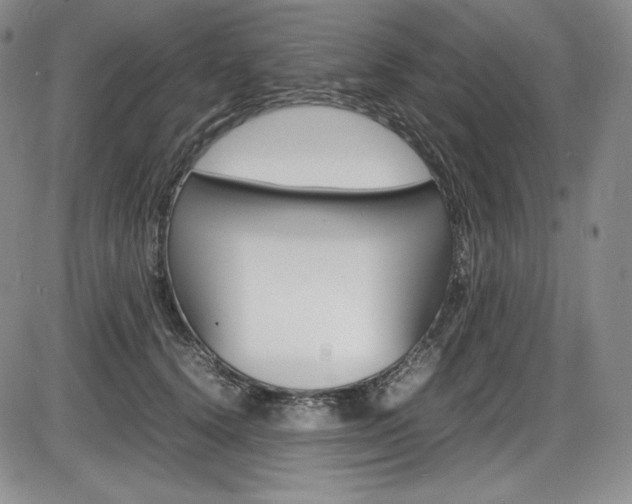 X0000086340656200703300958