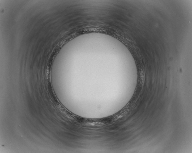X0000086340657200703300958