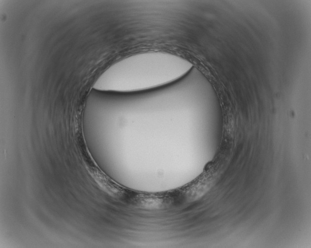 X0000086340658200703300958