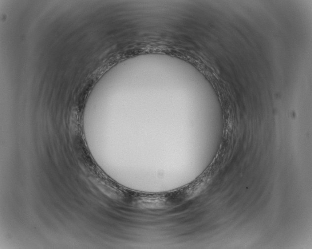 X0000086340659200703300958