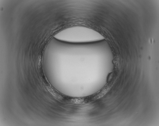 X0000086340660200703300958