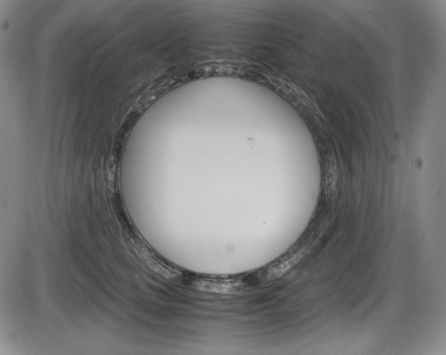 X0000086340661200703300958