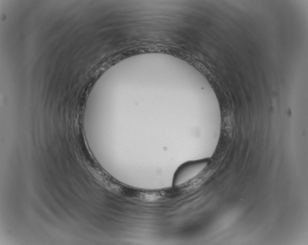 X0000086340662200703300958