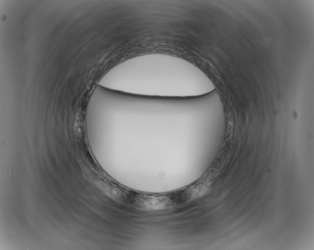 X0000086340663200703300958