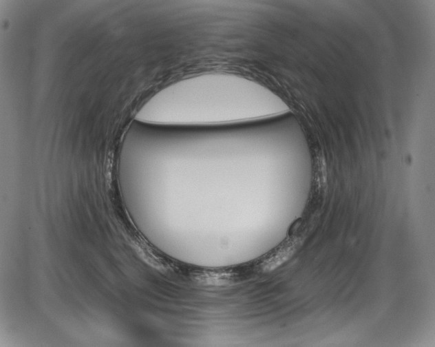 X0000086340664200703300958
