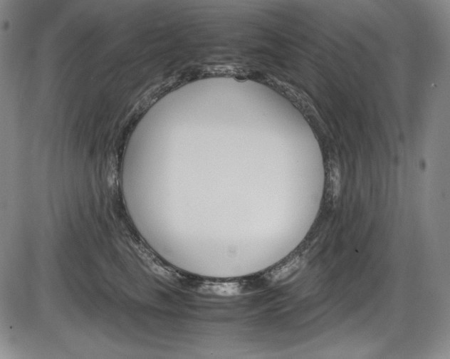 X0000086340665200703300958
