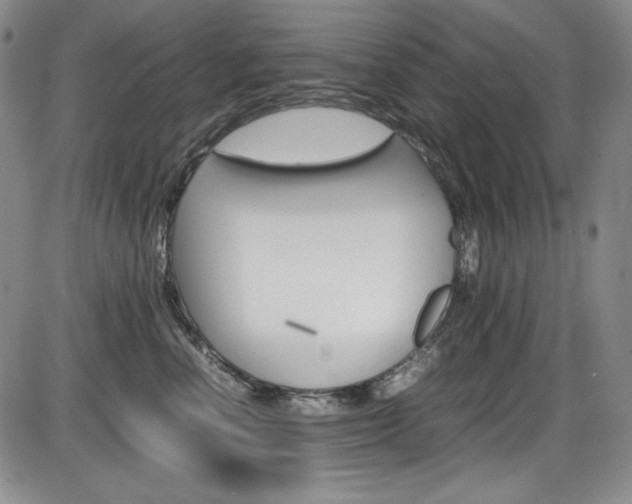 X0000086340666200703300958