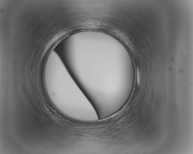 X0000086340675200703300957