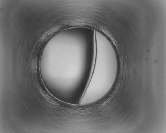 X0000086340681200703300957