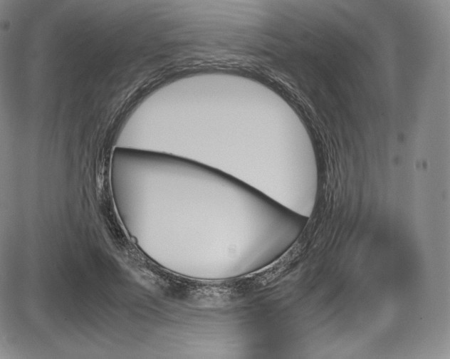 X0000086340691200703300957