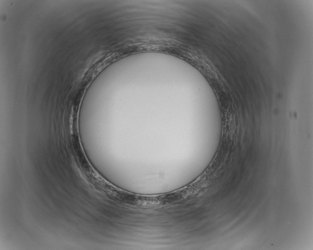 X0000086340694200703300957