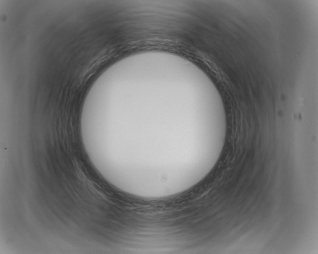 X0000086340696200703300957