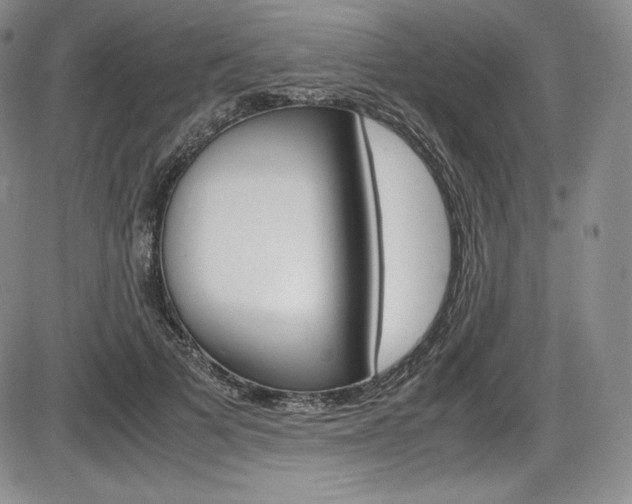 X0000086340697200703300957