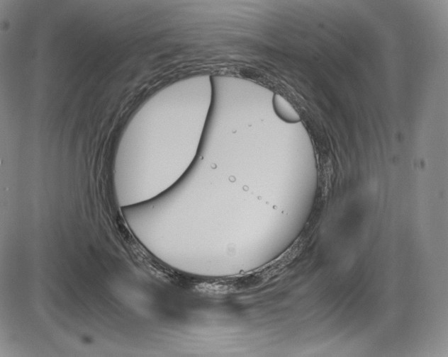 X0000086340699200703300957