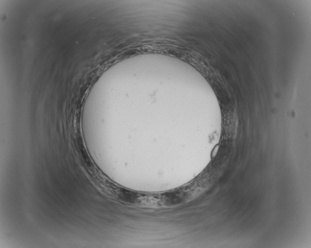X0000086340703200703300957